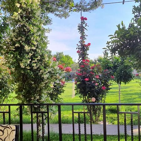 שקודר Room With Private Garden מראה חיצוני תמונה