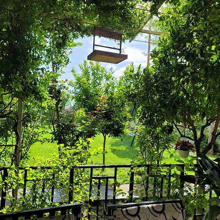שקודר Room With Private Garden מראה חיצוני תמונה