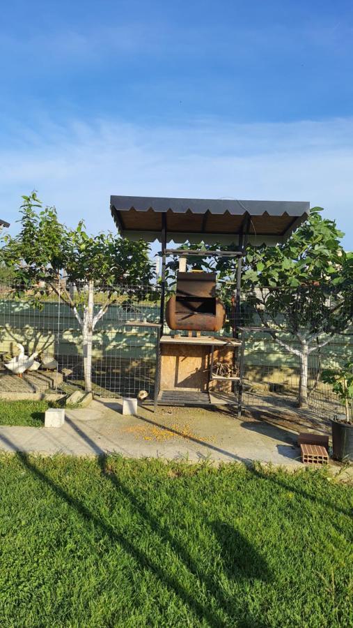 שקודר Room With Private Garden מראה חיצוני תמונה
