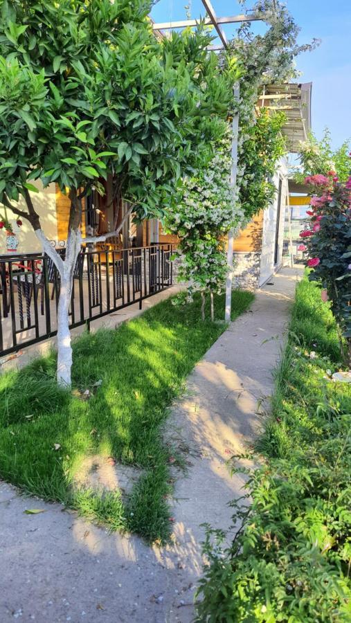 שקודר Room With Private Garden מראה חיצוני תמונה